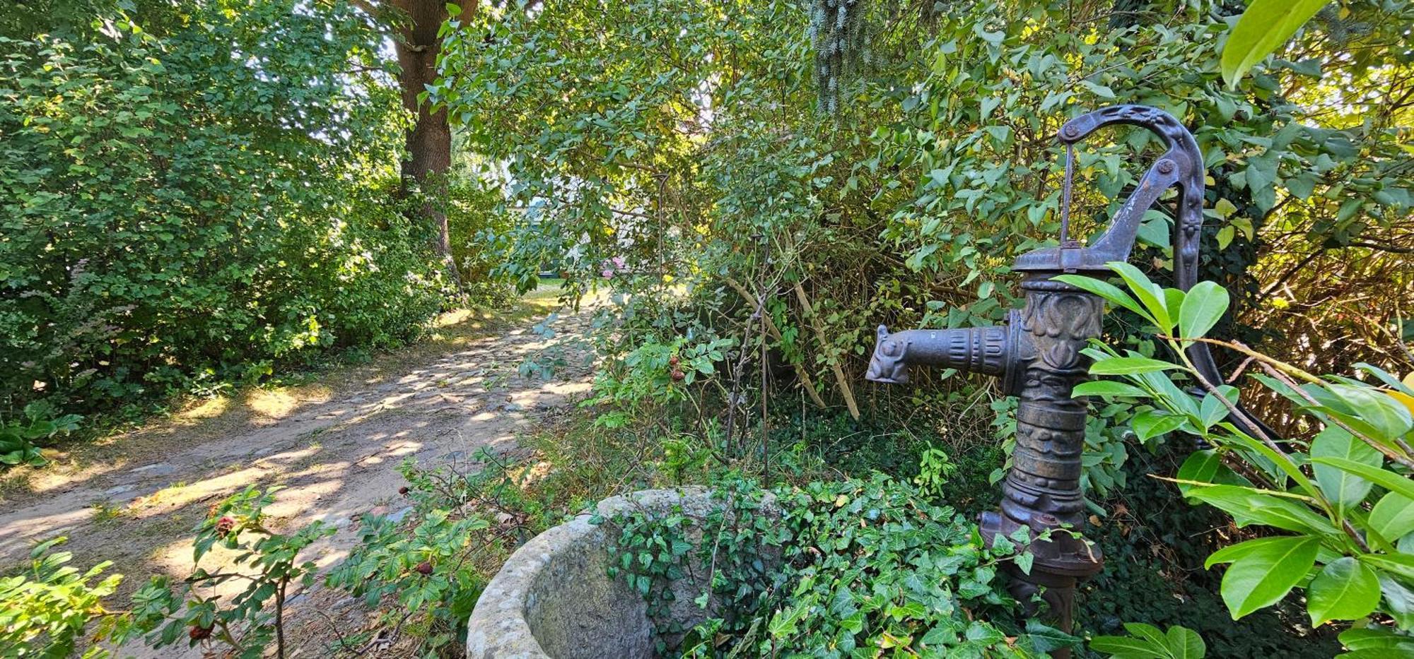 F -Haus Fh10 "Die Alte Muehle" Graal-Mueritz Dış mekan fotoğraf